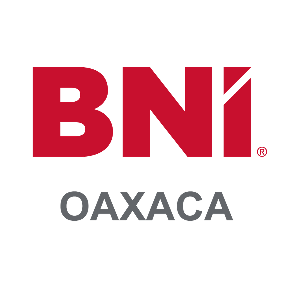Atomizador Limpia Pantallas BNI