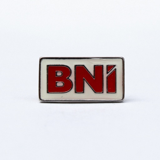 [Material Directores] PIN DIRECTOR