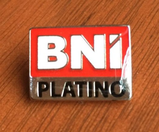 [Material Directores] PIN PLATINO